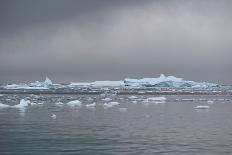 Icebergs Neko Harbour, Antarctica-Albert Knapp-Framed Photographic Print