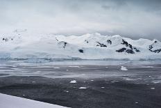 Icebergs Neko Harbour, Antarctica-Albert Knapp-Photographic Print