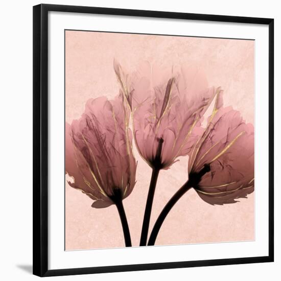 Photo, , large