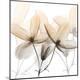 Premium Photographic Print