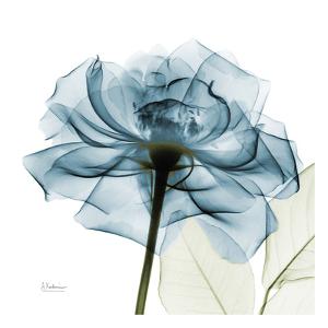 Blue Rose by Albert Koetsier