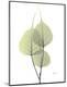 Premium Photographic Print