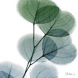 Magnolia Indigo-Albert Koetsier-Art Print