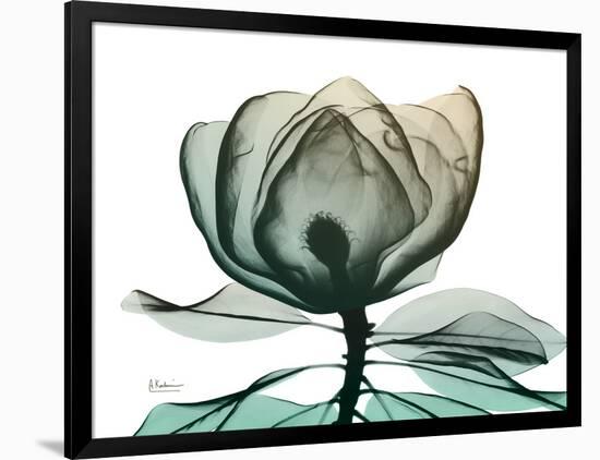 Photo, , large