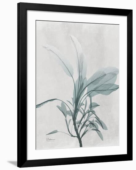 Photo, , large