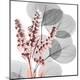 Premium Photographic Print