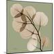 Premium Photographic Print
