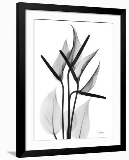 Photo, , large