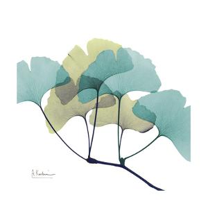 Gingko by Albert Koetsier