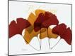Premium Photographic Print