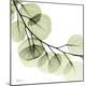 Premium Photographic Print