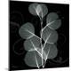 Premium Photographic Print