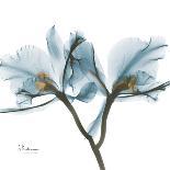 Three Blue Tulips-Albert Koetsier-Premium Giclee Print
