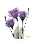 Purple Gentian Triplet-Albert Koetsier-Framed Premium Giclee Print