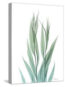 Bamboo Canvas Art Prints Paintings Posters Framed Wall Artwork For Sale Art Com