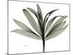 Premium Photographic Print
