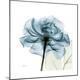 Premium Photographic Print
