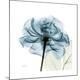 Premium Photographic Print