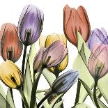 Tulipscape-Albert Koetsier-Art Print