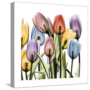 Tulips Canvas Art Prints Paintings Posters Wall Art Art Com