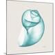 Premium Photographic Print