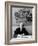 Albert Sabin Sitting in His Office-null-Framed Photographic Print