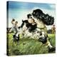 Stretched Canvas Print