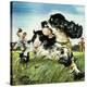Stretched Canvas Print