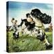 Stretched Canvas Print