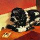 Giclee Print