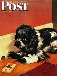 "Go for A Walk?," Saturday Evening Post Cover, October 7, 1944-Albert Staehle-Giclee Print