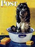 "Butch Weighs In," Saturday Evening Post Cover, September 1, 1945-Albert Staehle-Giclee Print