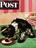 "Butch Gets a Bath," Saturday Evening Post Cover, May 11, 1946-Albert Staehle-Framed Giclee Print