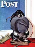 "Clothespinned Butch," Saturday Evening Post Cover, February 10, 1945-Albert Staehle-Giclee Print