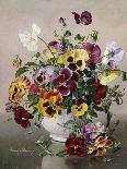 A Still Life with Pansies-Albert Williams-Giclee Print