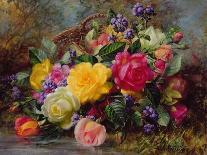 Roses from a Victorian Garden-Albert Williams-Giclee Print