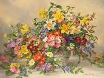 Peonies and Mixed Flowers-Albert Williams-Giclee Print