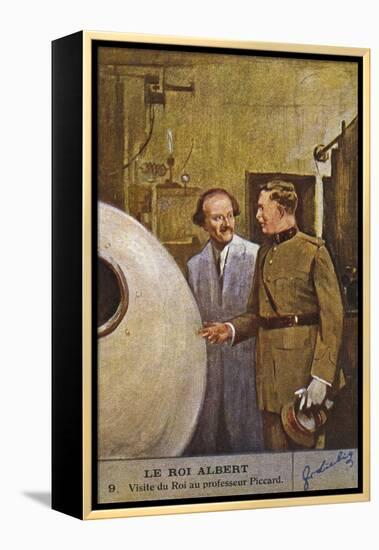 Albert with Piccard-null-Framed Stretched Canvas