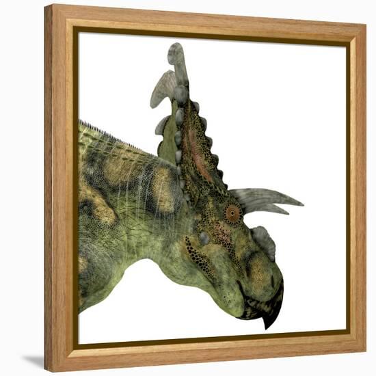 Albertaceratops Dinosaur Head-Stocktrek Images-Framed Stretched Canvas