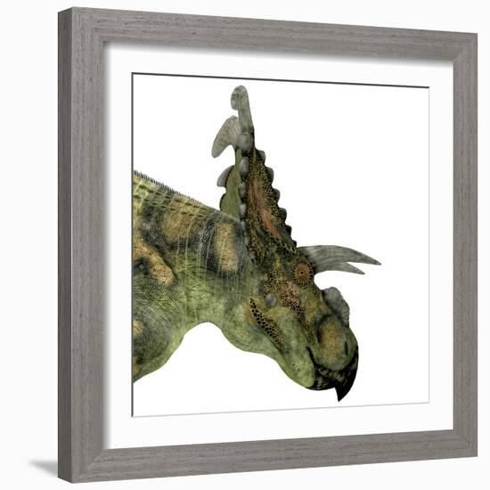 Albertaceratops Dinosaur Head-Stocktrek Images-Framed Art Print