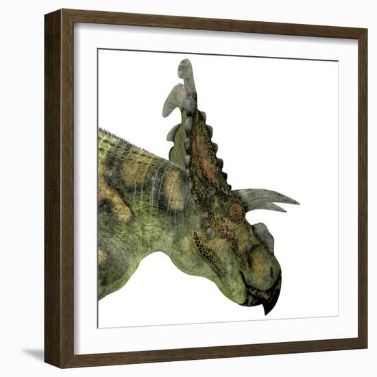 Albertaceratops Dinosaur Head-Stocktrek Images-Framed Art Print