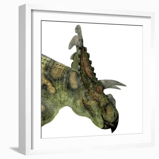 Albertaceratops Dinosaur Head-Stocktrek Images-Framed Art Print