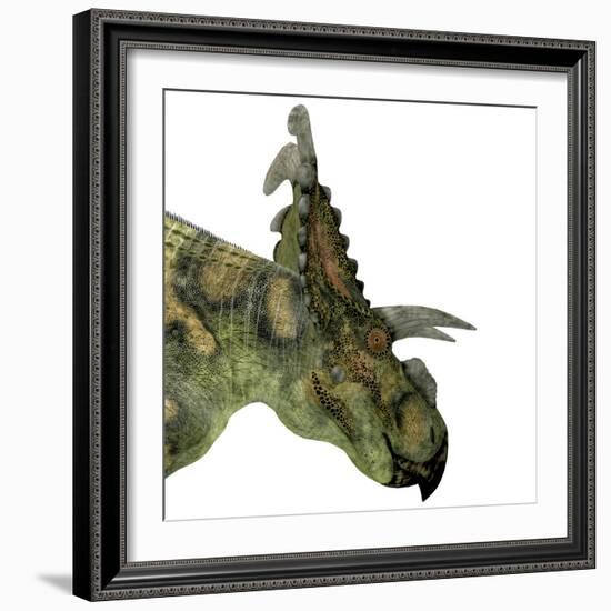 Albertaceratops Dinosaur Head-Stocktrek Images-Framed Art Print