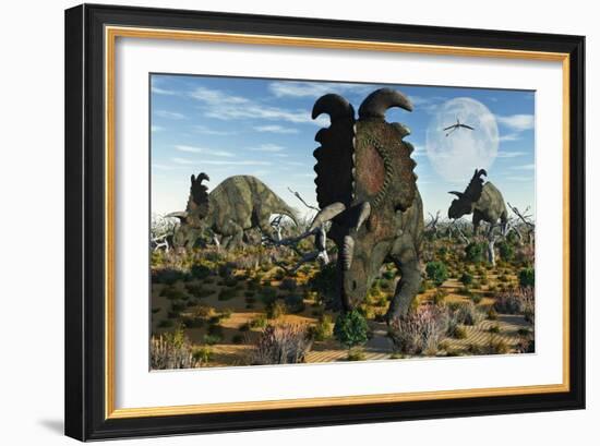 Albertaceratops Dinosaurs Grazing-null-Framed Art Print