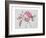 Albertine Opening and Sage, 2001-Rebecca John-Framed Giclee Print