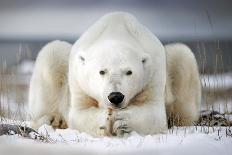 Now That You Wake Me Up Is Better for You to Start Running-Alberto Ghizzi Panizza-Photographic Print