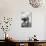 Alberto Lattuada on the Set-Mario de Biasi-Photographic Print displayed on a wall