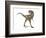 Albertosaurus Dinosaur, Artwork-null-Framed Photographic Print