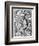 Albertus Magnus-Theodore de Bry-Framed Giclee Print