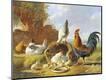 Giclee Print